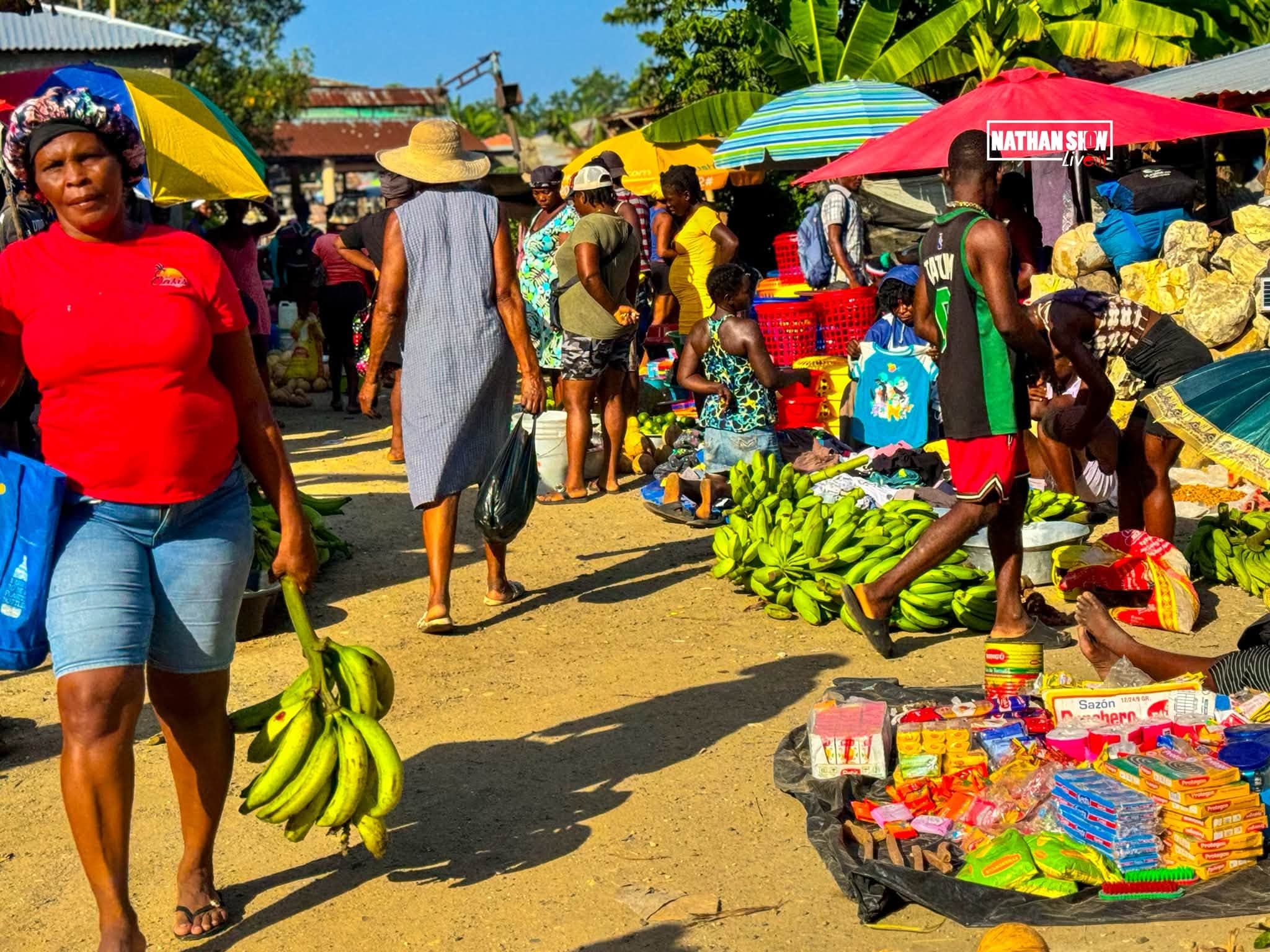 Agriculture & Fishing — Dame Marie (photo 9)