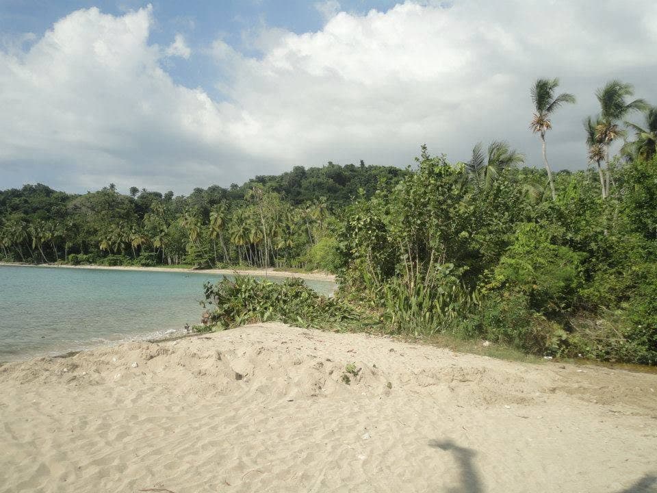 Coastline & Ocean — Dame Marie (photo 17)