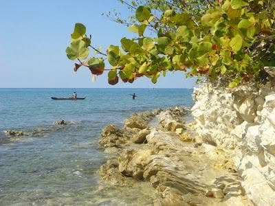 Coastline & Ocean — Dame Marie (photo 25)