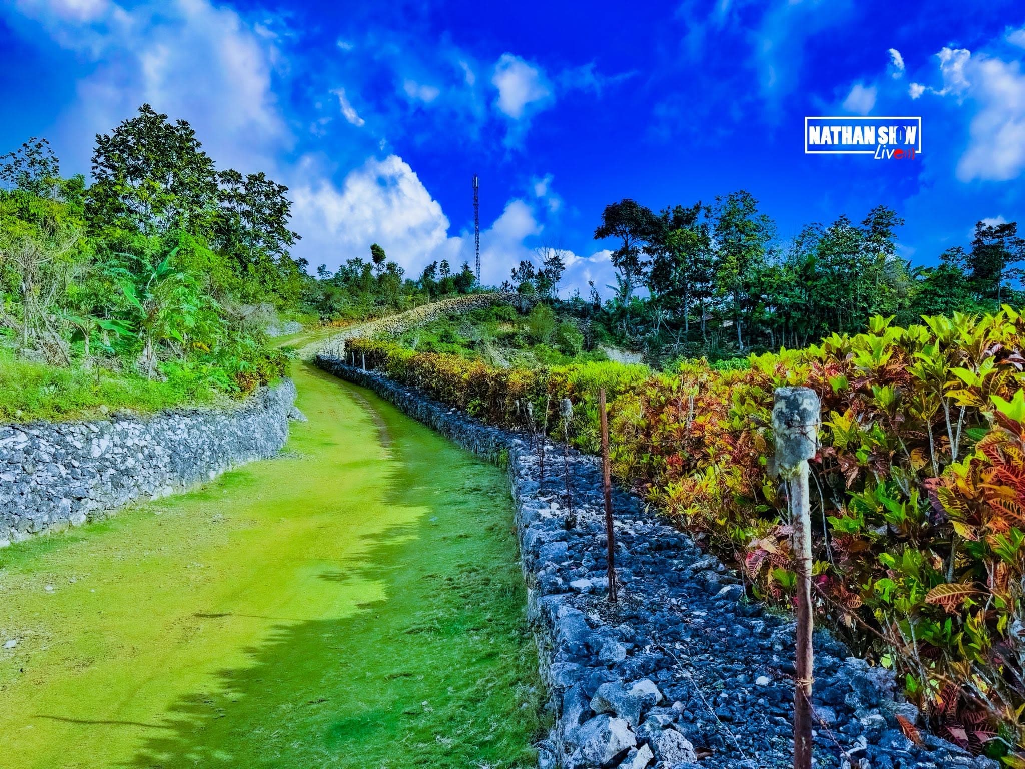 Mountains & Landscape — Dame Marie (photo 3)