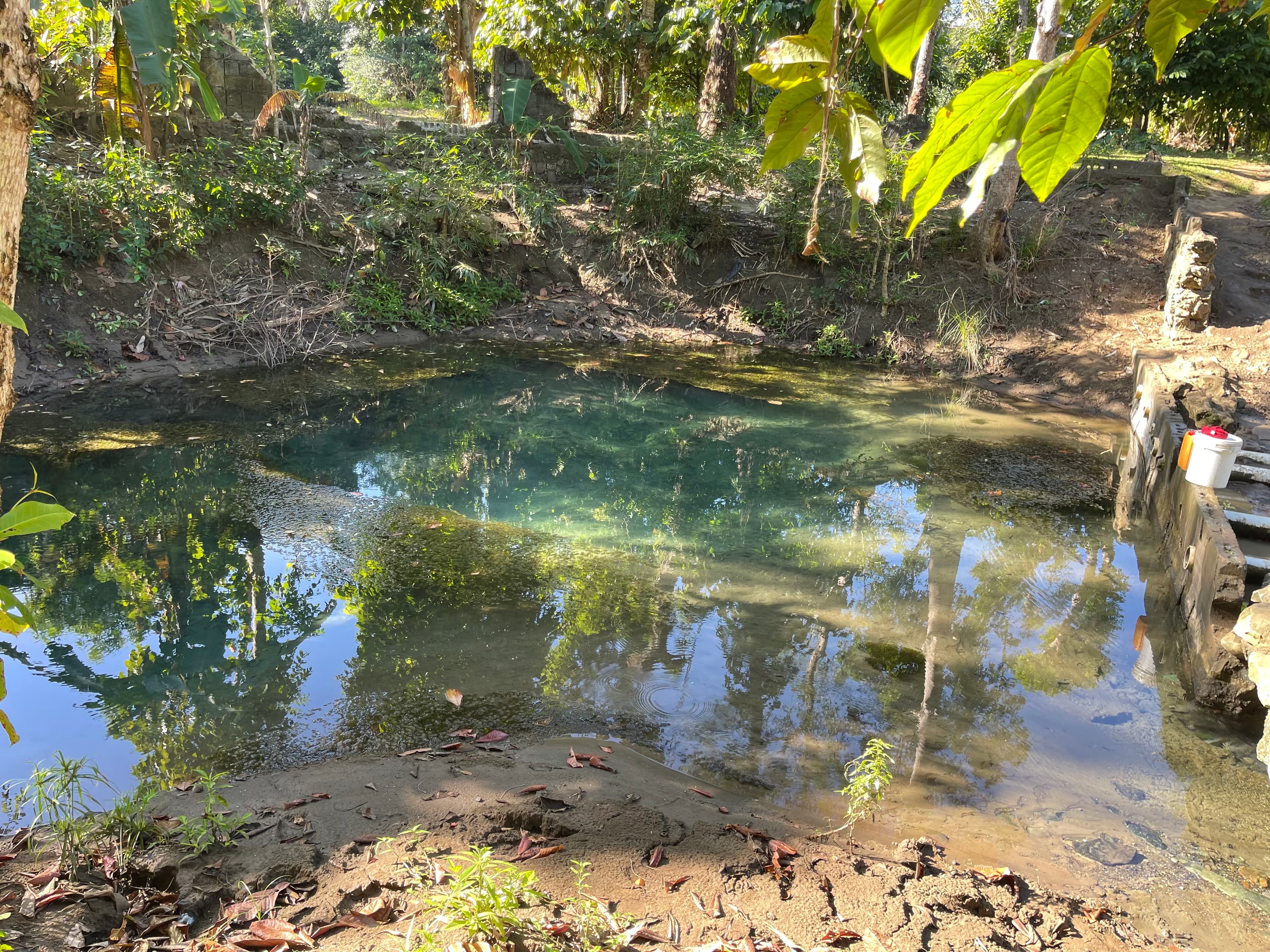 Fetching water at Nan Bòs, Dame Marie (photo 3)