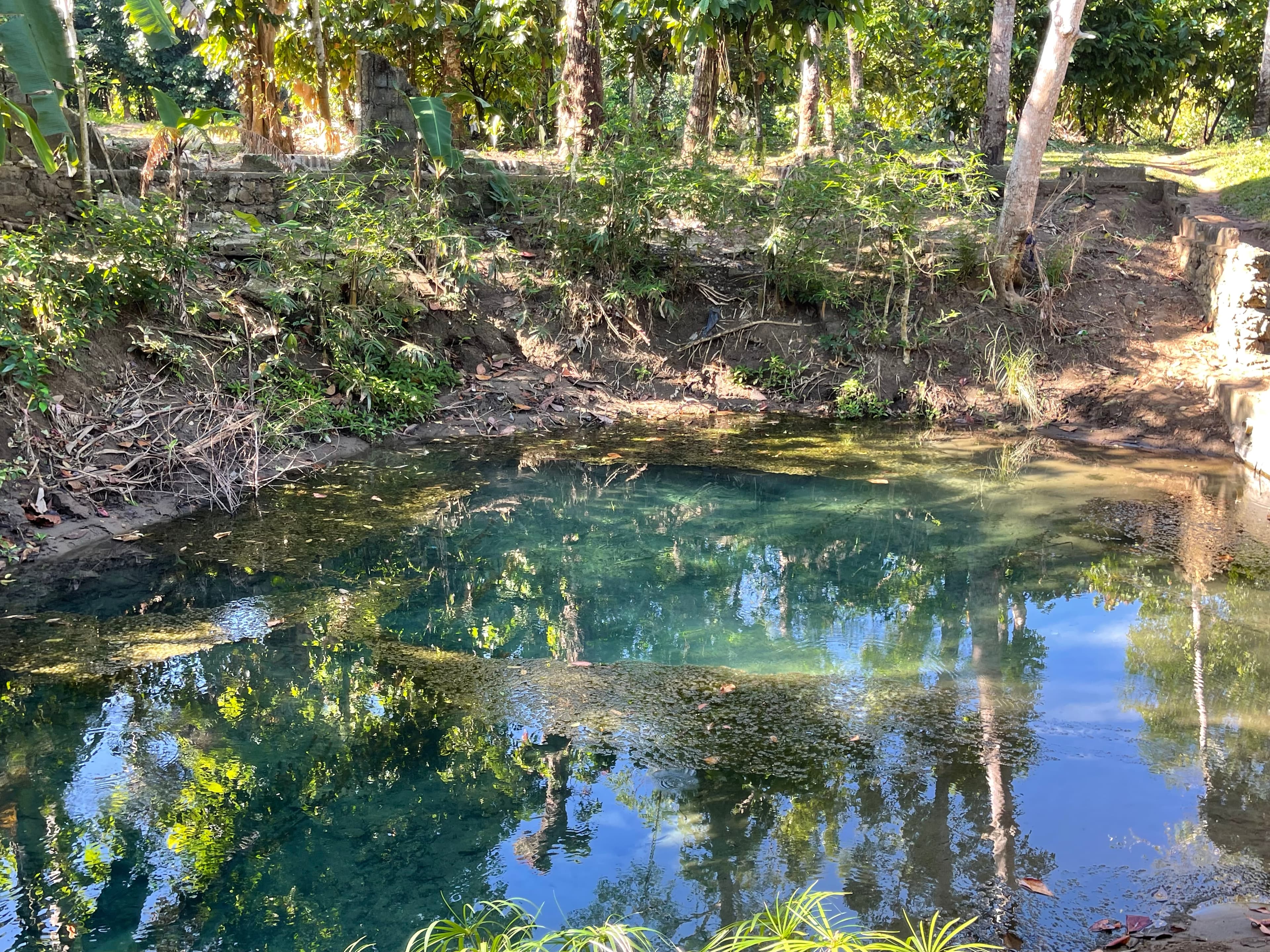 Fetching water at Nan Bòs, Dame Marie (photo 7)
