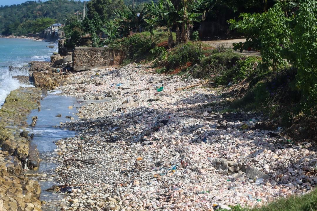 Coastal erosion and sea damage in Dame Marie (photo 10)