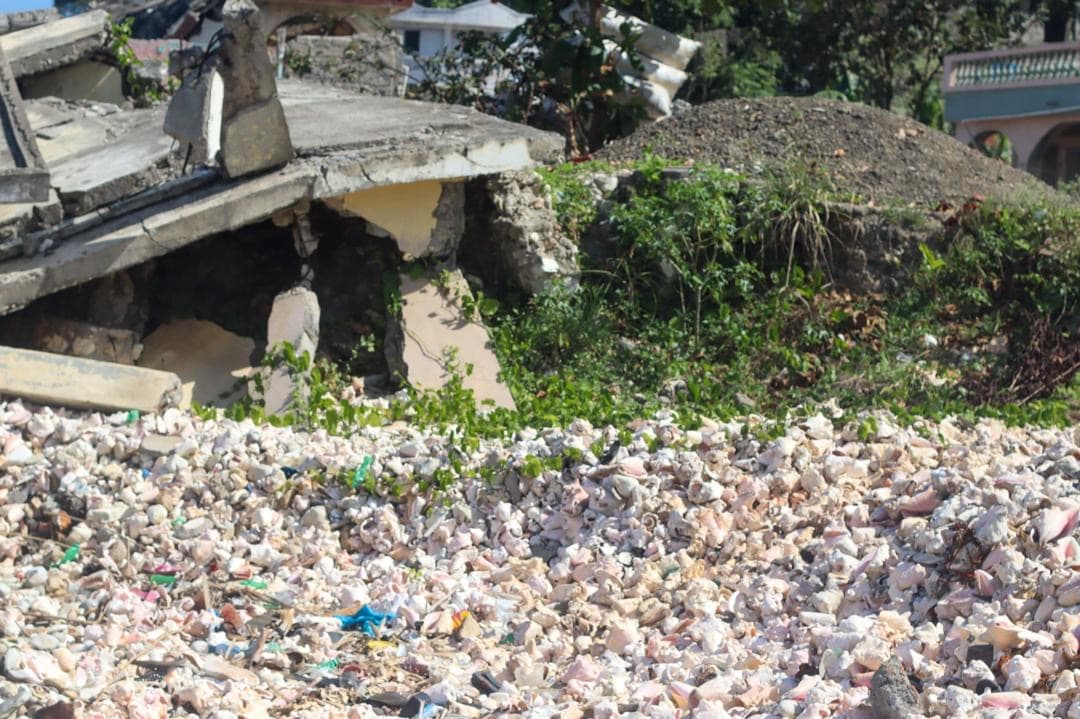 Coastal erosion and sea damage in Dame Marie (photo 14)
