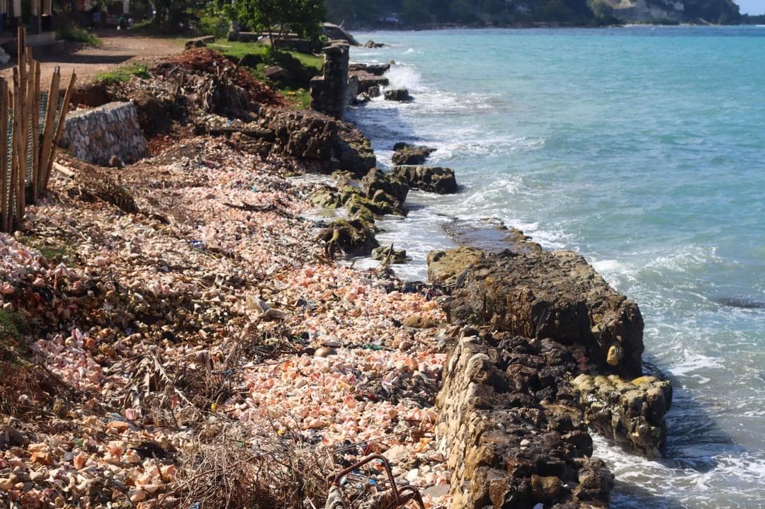 Coastal erosion and sea damage in Dame Marie (photo 15)