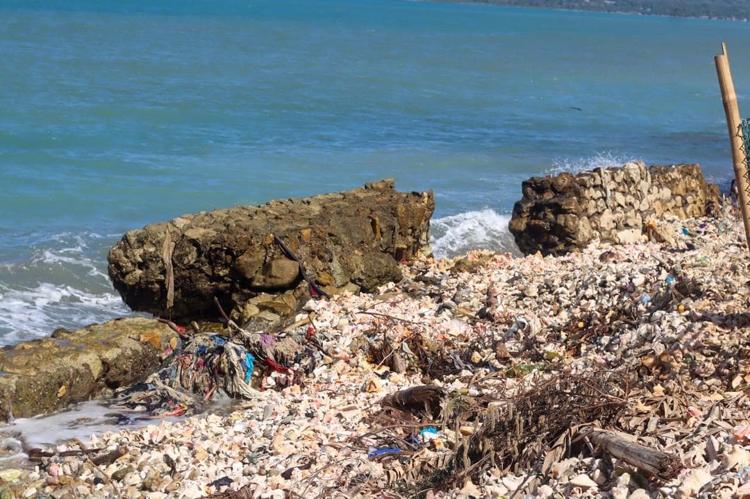 Coastal erosion and sea damage in Dame Marie (photo 25)