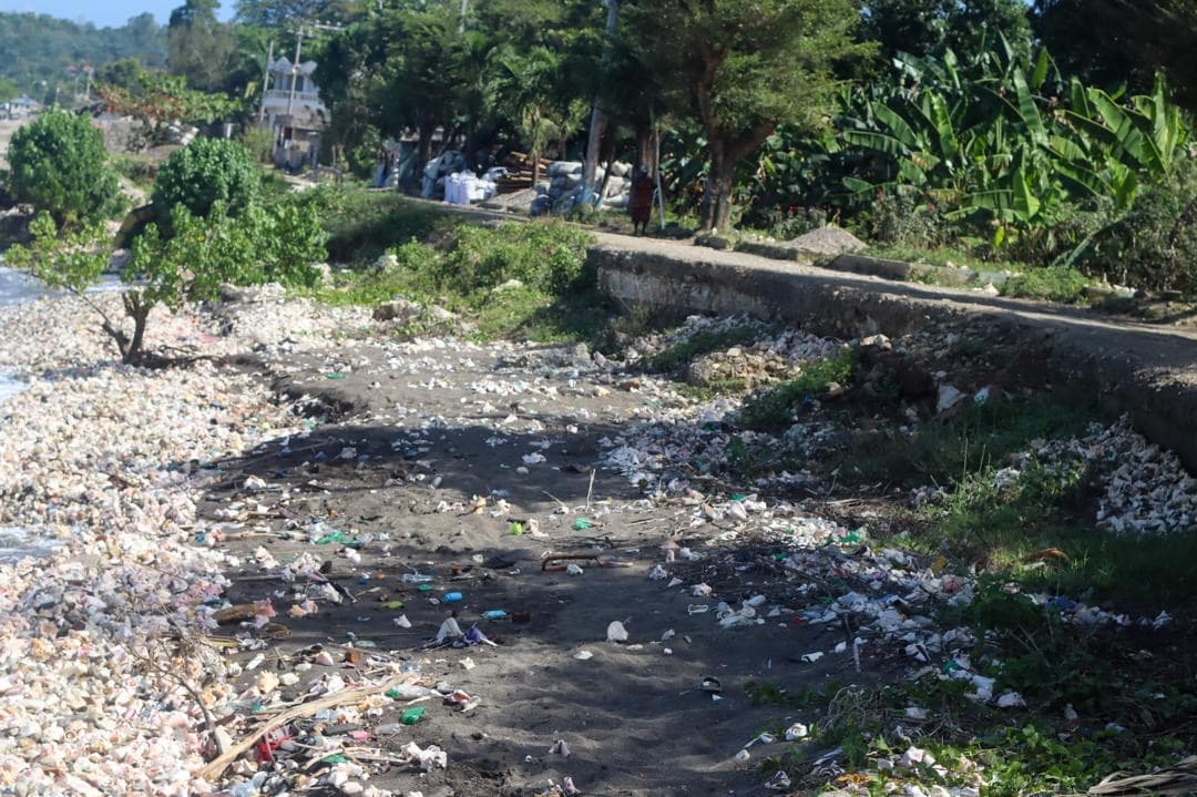 Coastal erosion and sea damage in Dame Marie (photo 32)