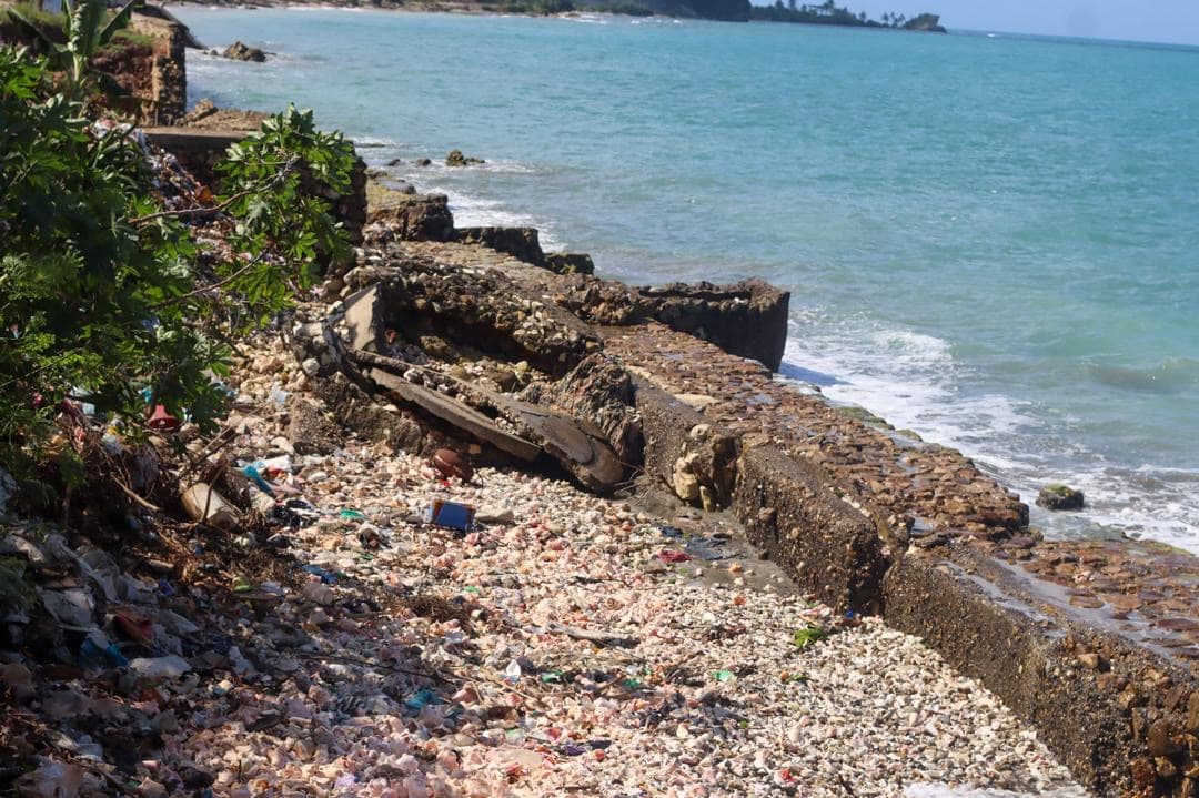 Coastal erosion and sea damage in Dame Marie (photo 35)