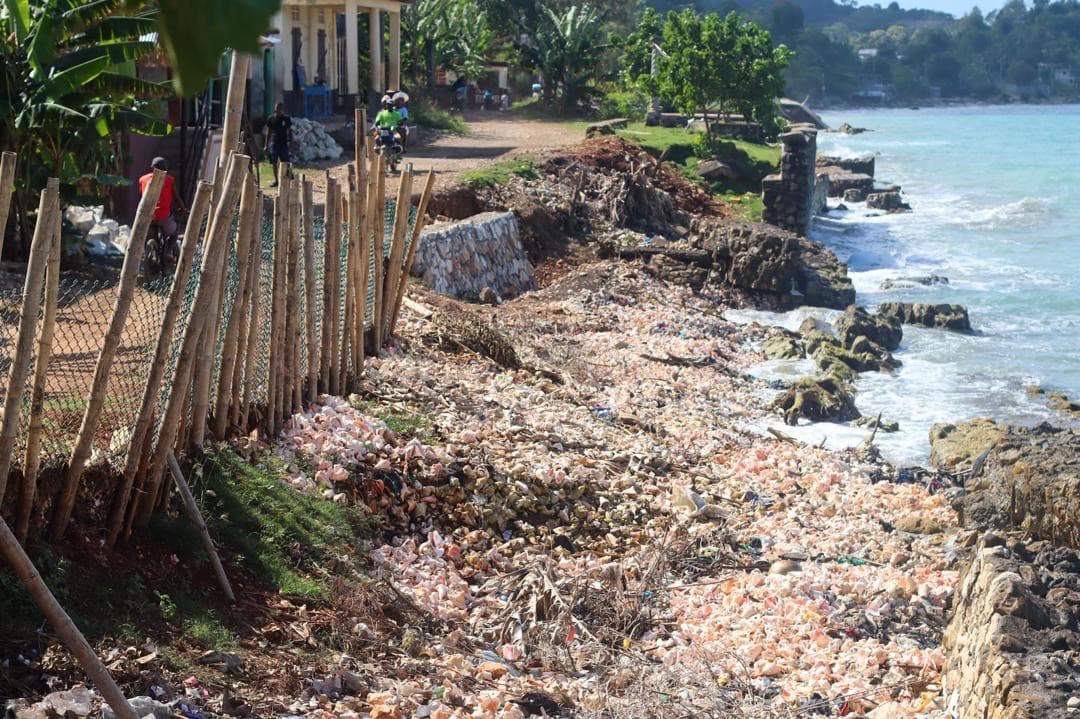 Coastal erosion and sea damage in Dame Marie (photo 36)