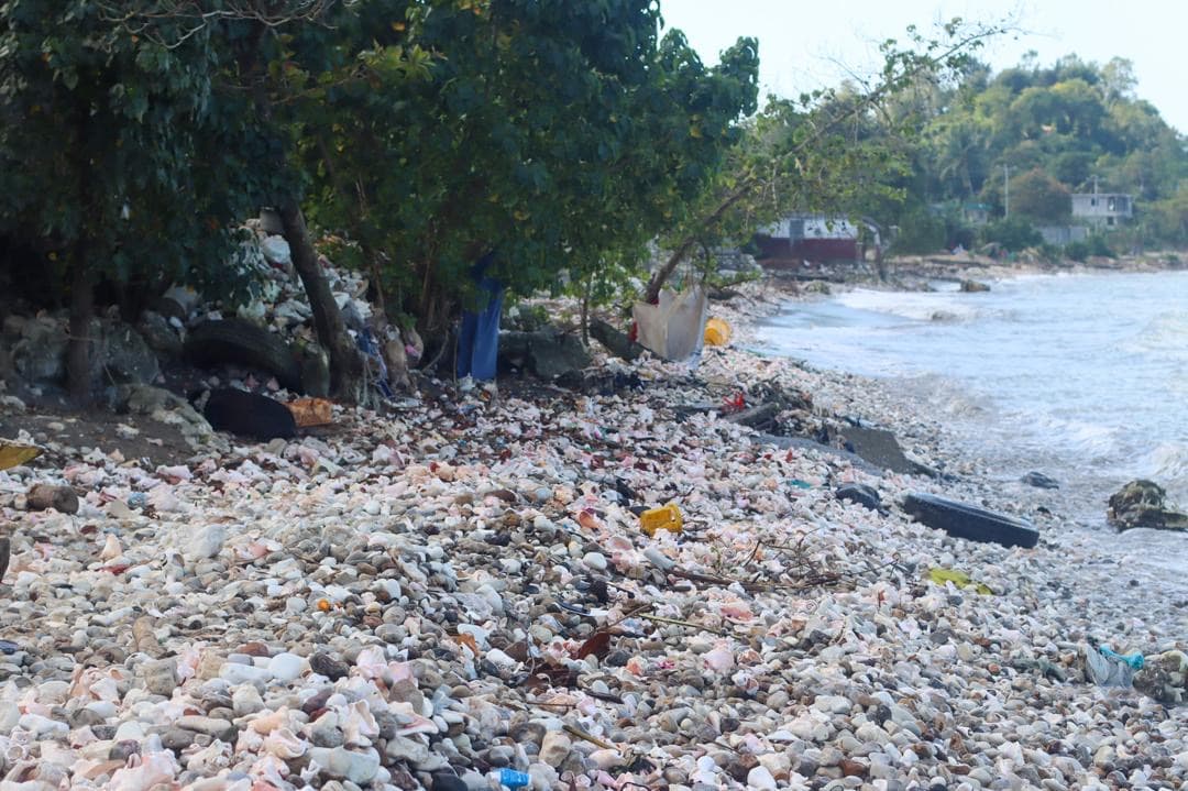 Coastal erosion and sea damage in Dame Marie (photo 40)