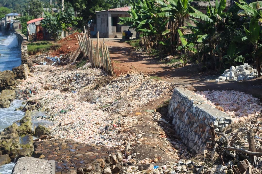 Coastal erosion and sea damage in Dame Marie (photo 46)