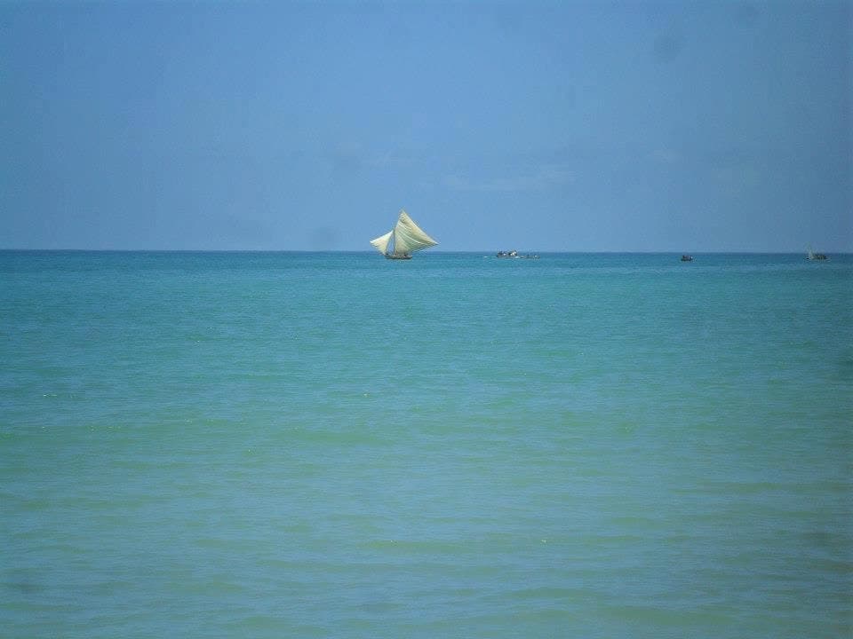 Coastline & Ocean — Dame Marie (photo 3)