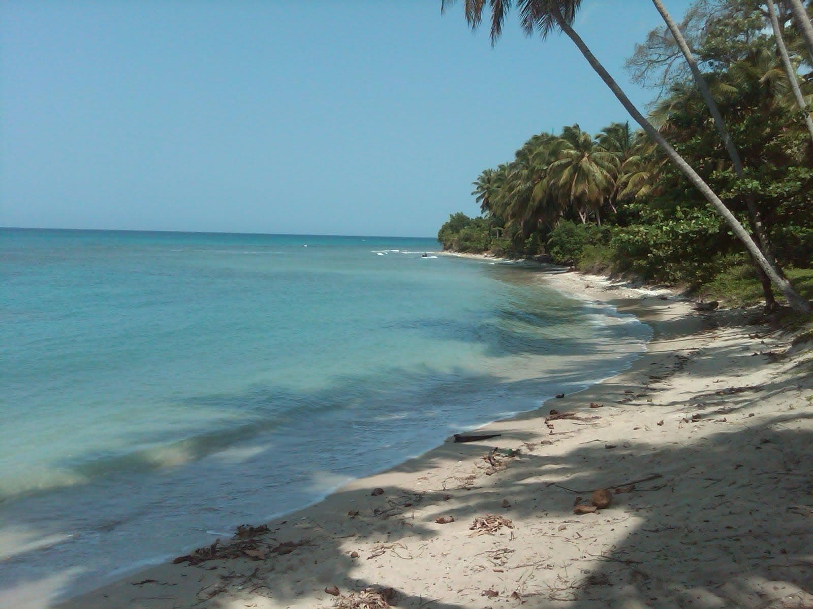 Coastline & Ocean — Dame Marie (photo 11)
