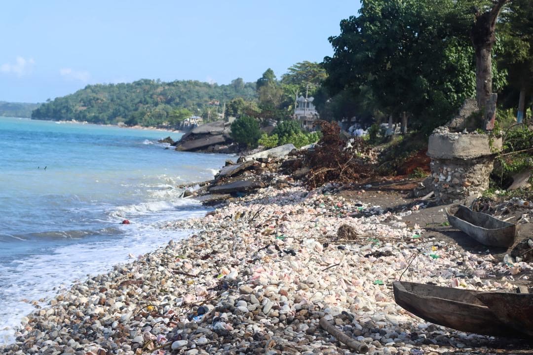 Roads and coastline in Dame Marie